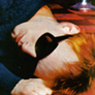 Thom